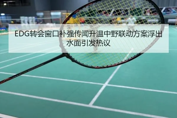 EDG转会窗口补强传闻升温中野联动方案浮出水面引发热议